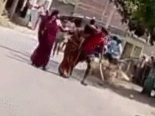 महिला को घर से निकाल कर सड़क पर घसीटा:सीतापुर में पेड़ से बांधकर पीटा; किशोरी को भगाने के शक में मारपीट