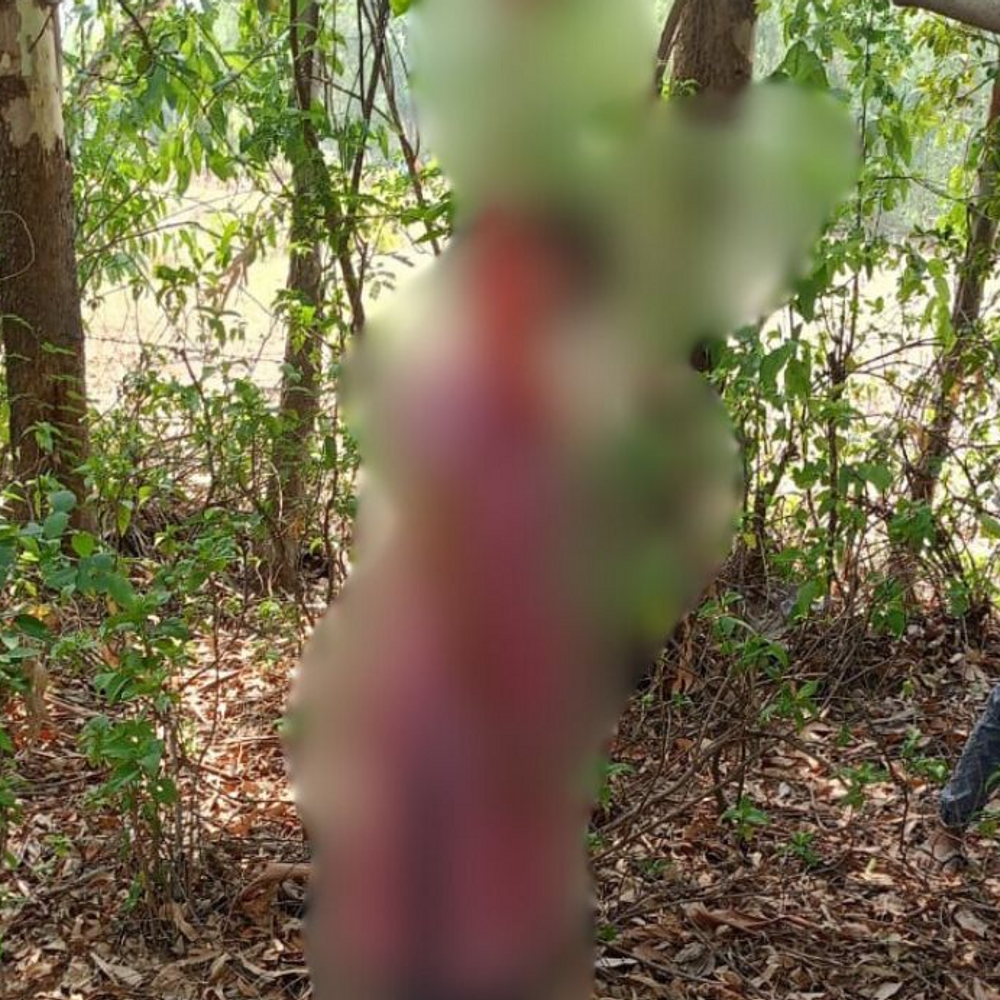 शादी से पहले युवती ने दी जान:अमेठी में रिश्तेदारों के आने के बाद घर से निकली 21 साल की गुंजन, बाग में फांसी पर लटकी मिली