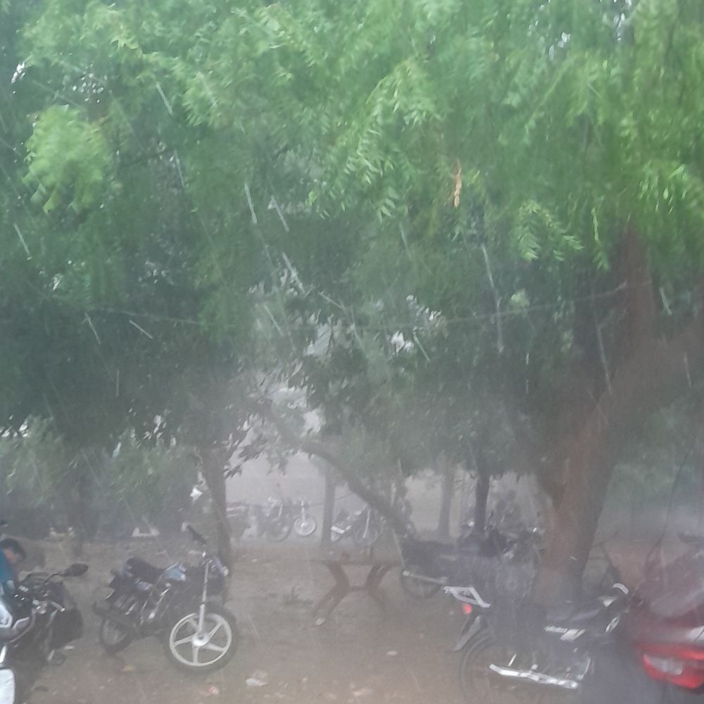 कुशीनगर में तेज हवाओं के साथ बारिश:अगले 5 दिन तक वज्रपात की चेतावनी, 2-3 डिग्री तापमान में गिरावट का अनुमान