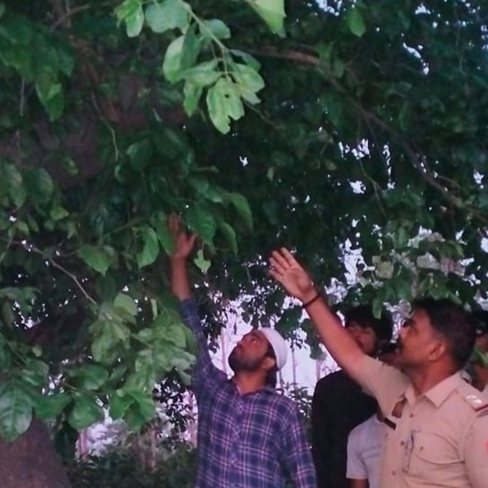 मेरठ में भट्टे पर काम करने वाले मजदूर की मौत:पेड़ से लटका मिला शव, शराब का था आदी; परिजनों को नहीं पता कारण