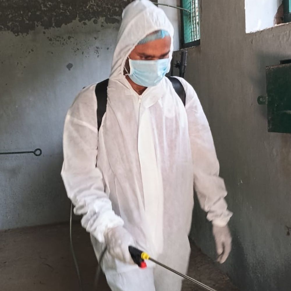 कानपुर जू में बर्ड फ्लू का रेड अलर्ट:मृत मोर में वायरस की पुष्टि, 3 दिन पहले हुई बब्बर शेर की मौत, 26 कर्मचारियों के सैंपल लिए