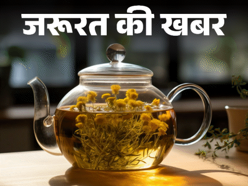 जरूरत की खबर- ये 9 हर्बल चाय हैं इम्यूनिटी बूस्टर:वेट लॉस से लेकर इंफ्लेमेशन कम करने में मददगार, डॉक्टर से जानें इसके फायदे