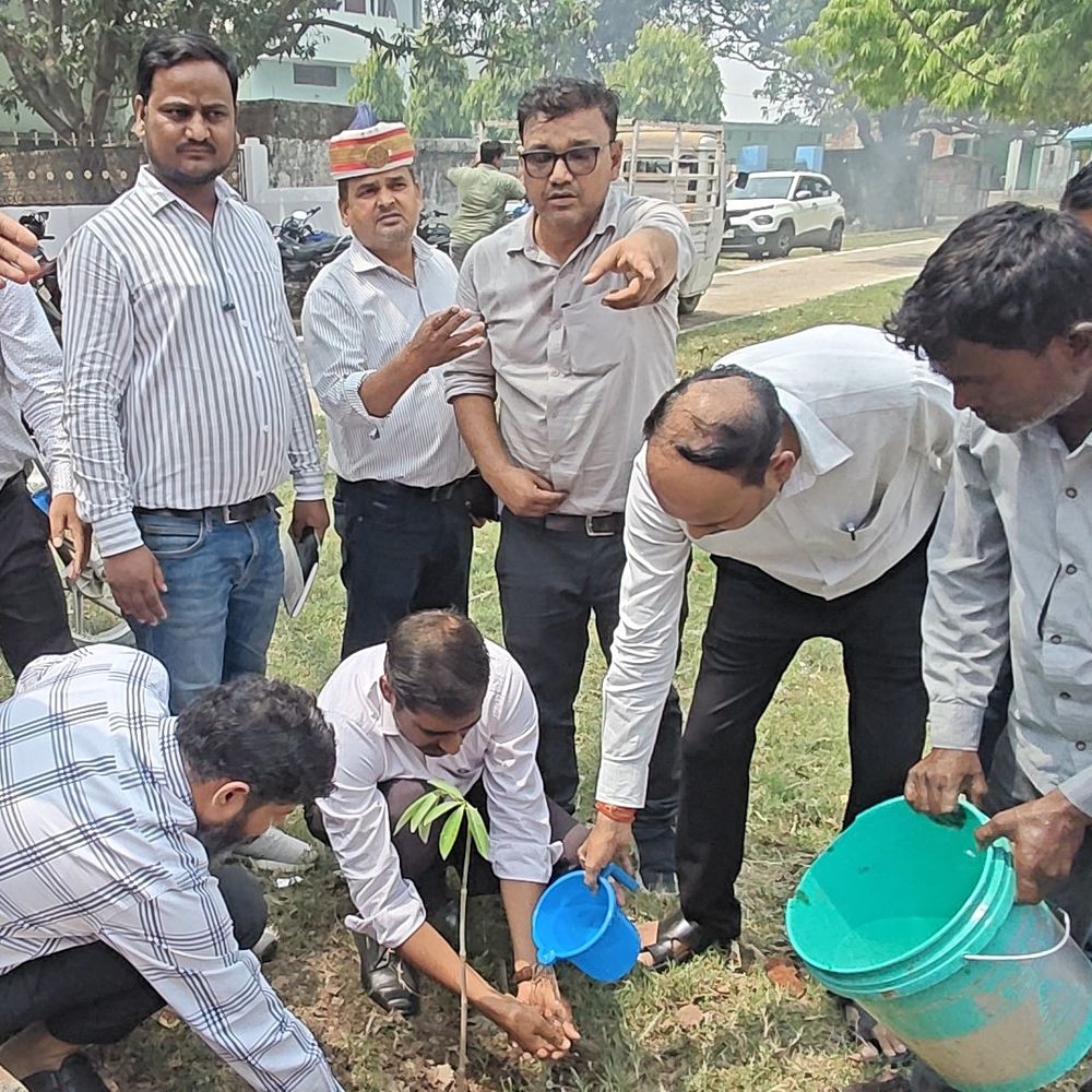 डुमरियागंज के हल्लौर गांव में बना नया पंचायत भवन:सीडीओ ने किया लोकार्पण, ग्रामीणों में दिखा उत्साह