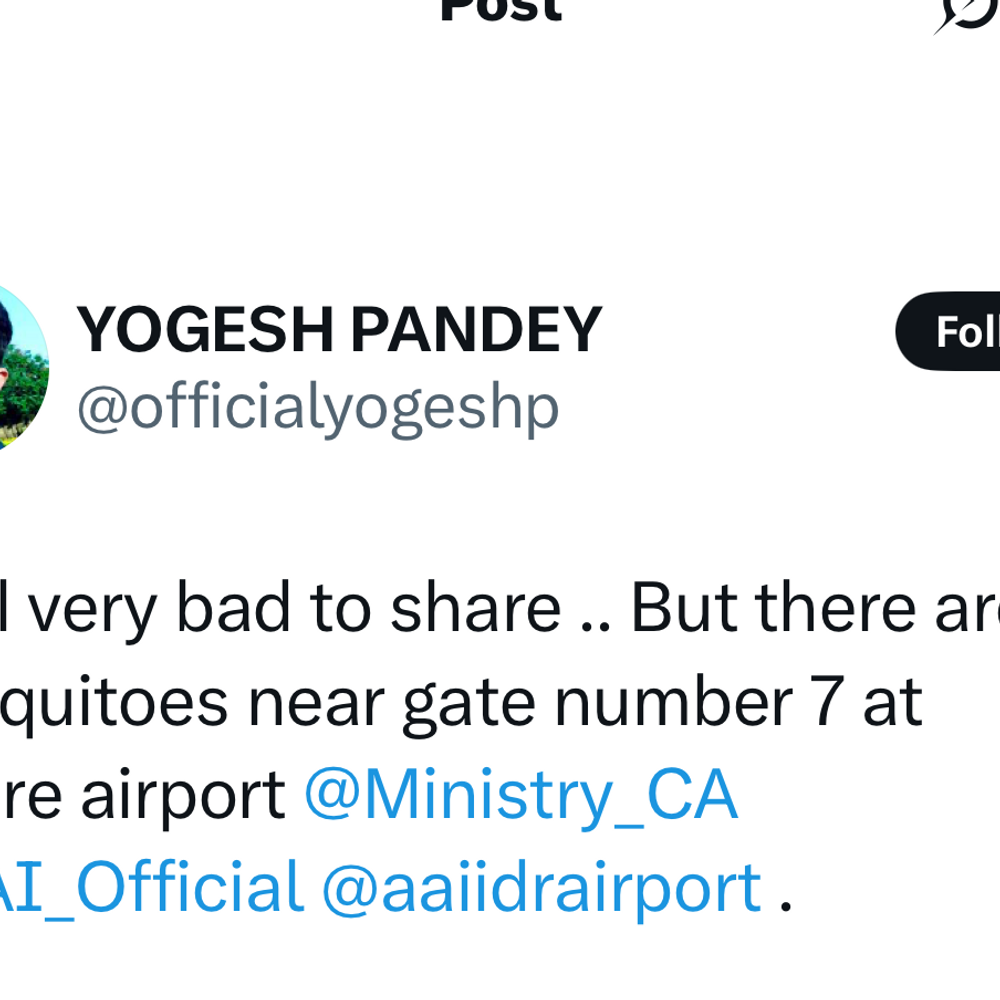 सफाई पर सवाल: इंदौर एयरपोर्ट में मच्छरों का प्रकोप:10 दिन में दूसरी बार शिकायत, देश के टॉप एयरपोर्ट में चौथे नंबर पर