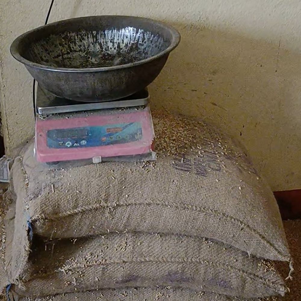 सतना में मृत व्यक्ति के नाम पर बंट रहा राशन:परिवार के 8 सदस्य ले रहे लाभ; 7 साल पहले सड़क हादसे में हुई थी मौत