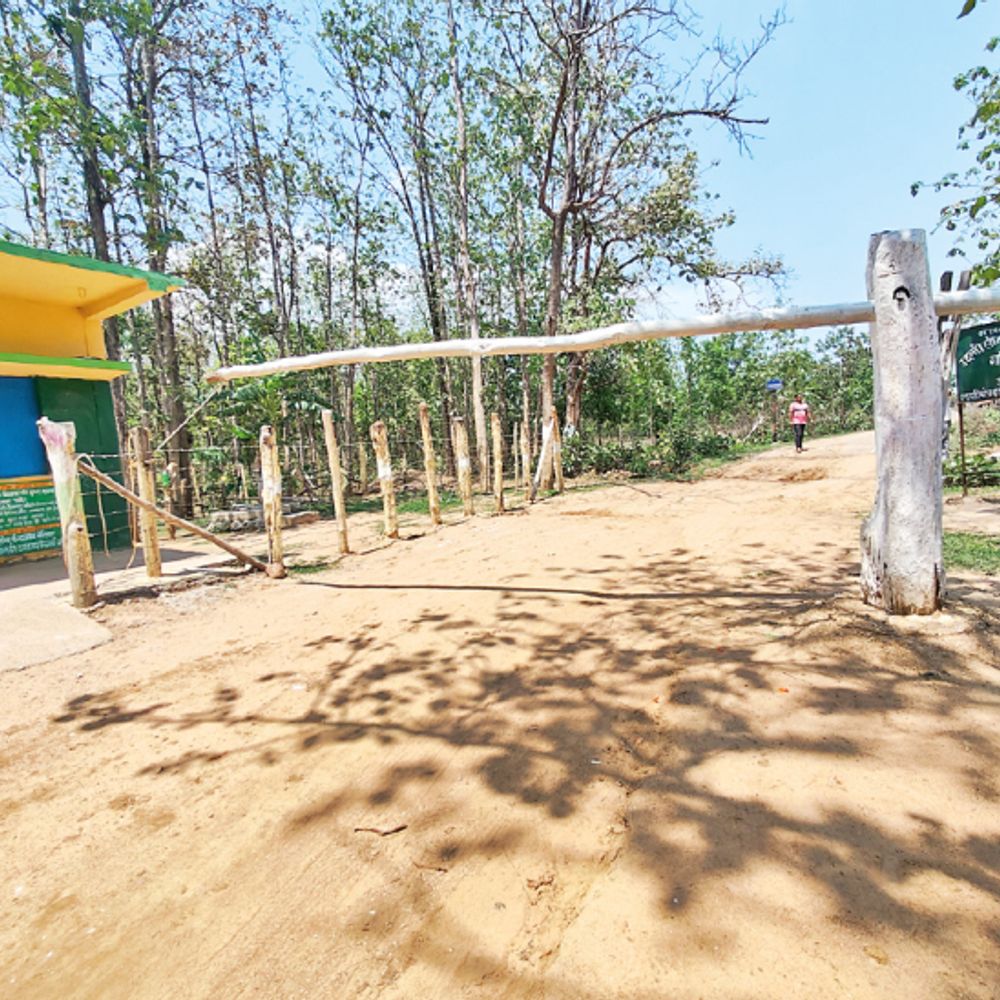 इंदागांव:दो माह में खुदकुशी की 18 कोशिशें, 3 मौतें वजह- कच्ची शराब जिसमें यूरिया-धतूरा की मिलावट