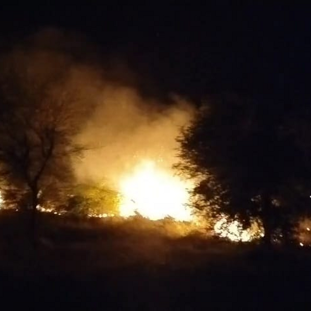 2 किलोमीटर के वन क्षेत्र में देर रात लगी आग:4 दमकल ने 1 घंटे में पाया काबू, 2 किलोमीटर के एरिया में रखे ईंधन और हरे पेड़ जले