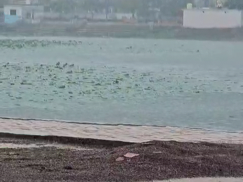 छत्तीसगढ़ में 8 जून तक पहुंच सकता है मानसून:ये 5 साल में सबसे जल्दी, 4 दिन में 2000 मिमी वर्षा; आज भी यलो अलर्ट