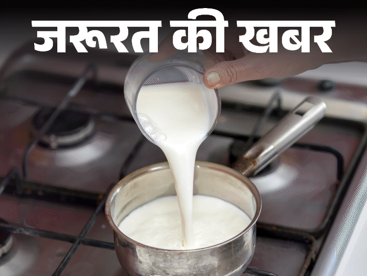 जरूरत की खबर- पैकेट वाला दूध उबालना फायदेमंद या नुकसानदायक:जानें पैकेट वाले दूध को उबालने का वैज्ञानिक पहलू, एक्सपर्ट्स की राय और सही तरीका