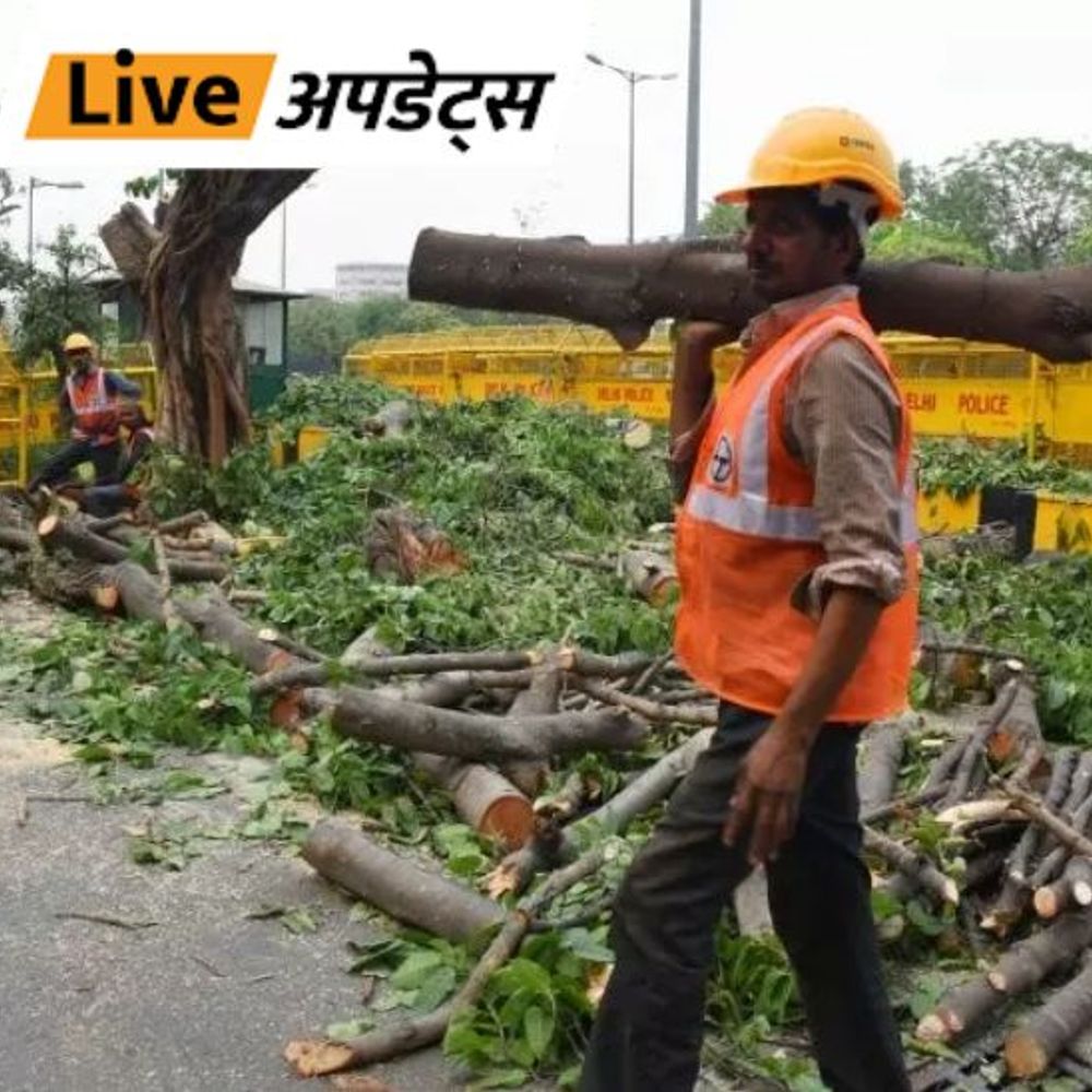 भास्कर अपडेट्स:दिल्ली रिज में पेड़ों की अवैध कटाई मामले में सुप्रीम कोर्ट ने DDA को अवमानना का दोषी ठहराया, 25 हजार जुर्माना लगाया
