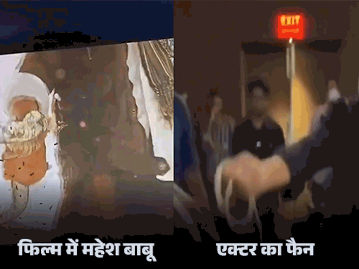 सिनेमा घर में सांप लेकर पहुंचा महेश बाबू का फैन:फिल्मी सीन को हूबहू किया रिक्रिएट; फिल्म बीच में छोड़कर भागे दर्शक