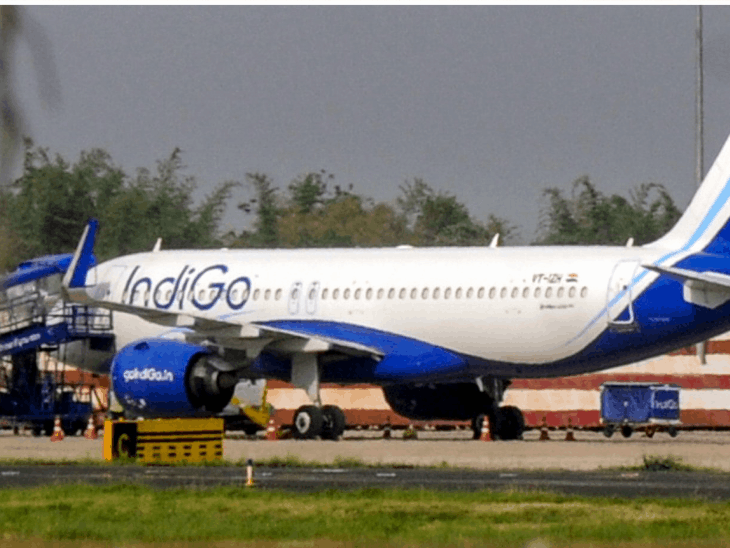 इंडिगो की फ्लाइट से 4000 फीट ऊंचाई पर गिद्ध टकराया:विमान के फ्रंट में डेंट आया, इमरजेंसी लैंडिंग कराई गई; 175 यात्री सवार थे