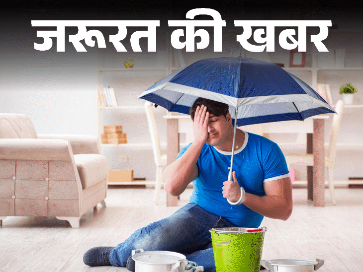 जरूरत की खबर- घर को नमी और सीलन से बचाएं:बारिश शुरू होने से पहले करें ये 9 काम, फर्नीचर-दीवारें और छत रहेगी सुरक्षित