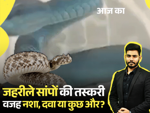 आज का एक्सप्लेनर:47 जहरीले सांपों को थाईलैंड से क्यों लाया गया, मुंबई एयरपोर्ट पर कैसे पकड़े; क्या रेव पार्टियों में इनसे करना था नशा?