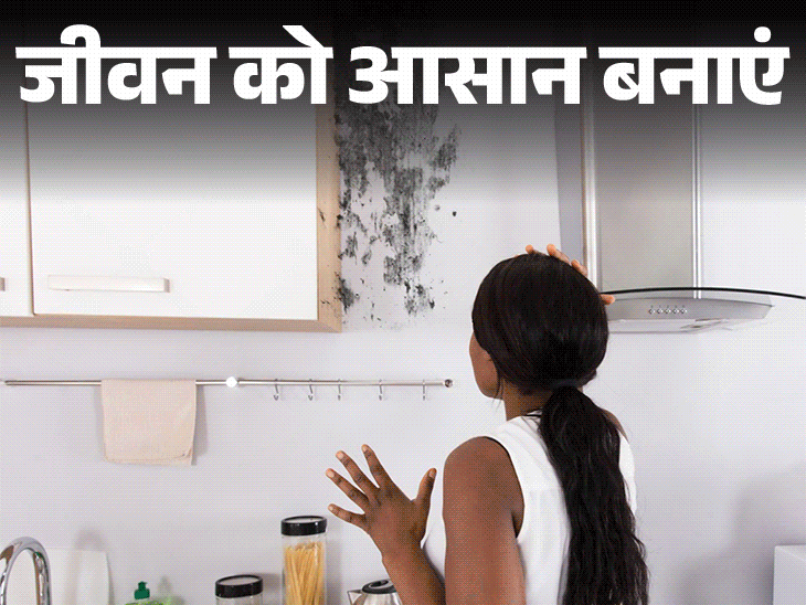 जीवन को आसान बनाएं- मानसून में जल्दी खराब होती ग्रॉसरी:ब्रेड से लेकर दाल-मसाले तक, सब रहेगा फ्रेश, अपनाएं ये 9 आसान उपाय