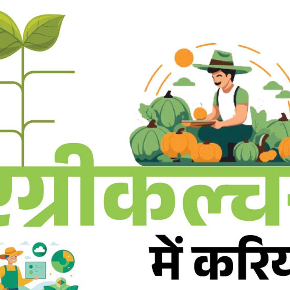 विश्व पर्यावरण दिवस आज:क्रॉप साइंटिस्ट, न्यूट्रिशनिस्ट जैसी फील्ड्स के साथ सरकारी नौकरी के मौके, एग्रीकल्चर में है सुनहरा करियर
