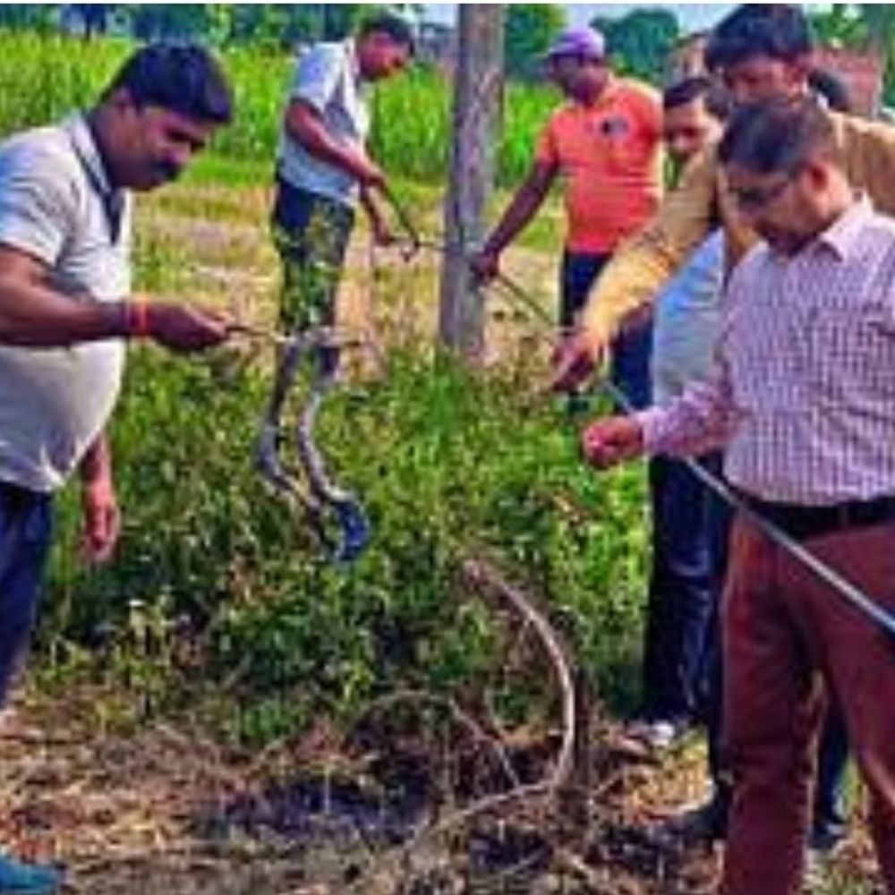 देवरिया में 33 केवी लाइन का तार टूटा:12 घंटे तक दो विद्युत उपकेंद्रों की आपूर्ति बाधित