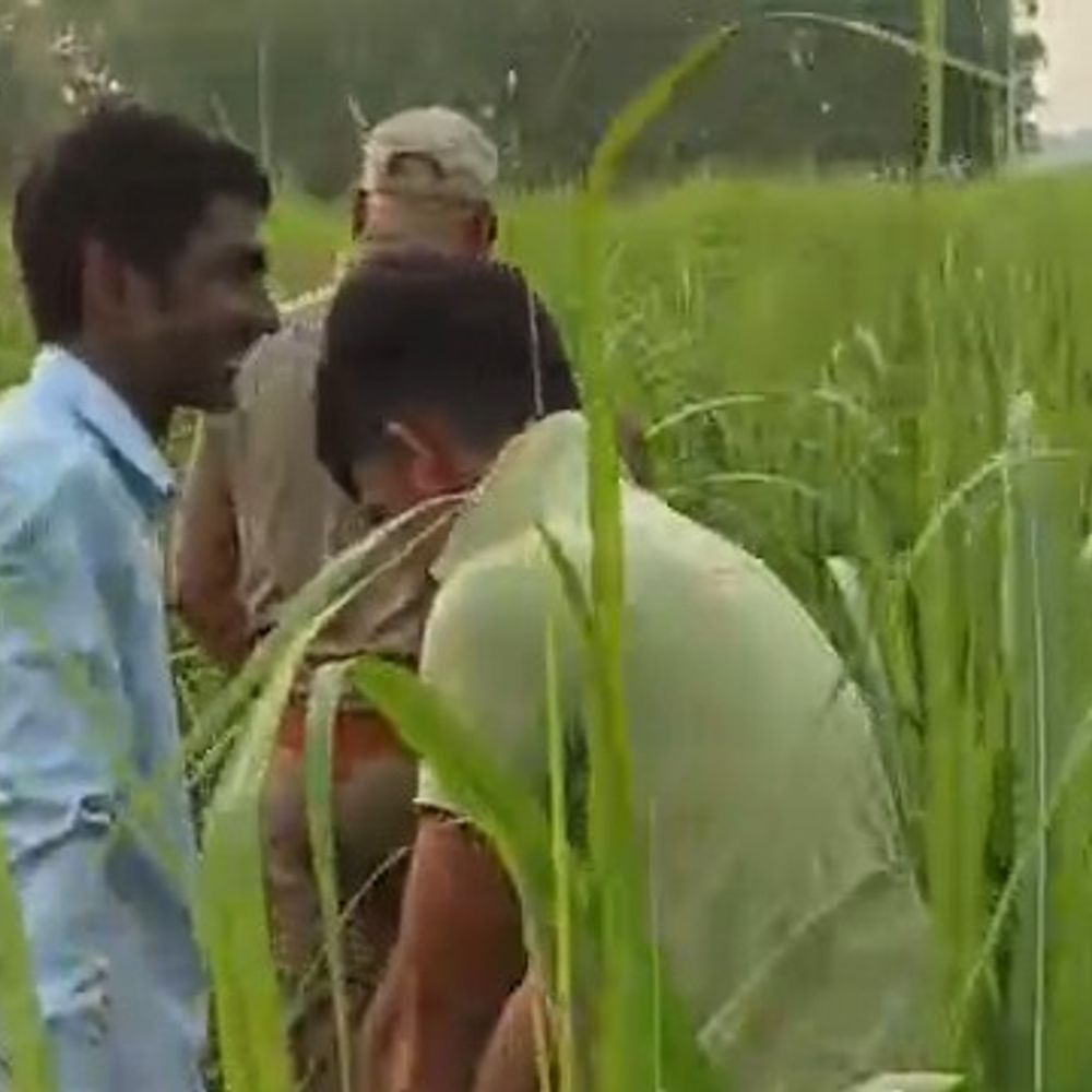 गोंडा में अवैध शराब के खिलाफ बड़ी कार्रवाई:50 लीटर अवैध कच्ची शराब और 600 किलो लहन बरामद