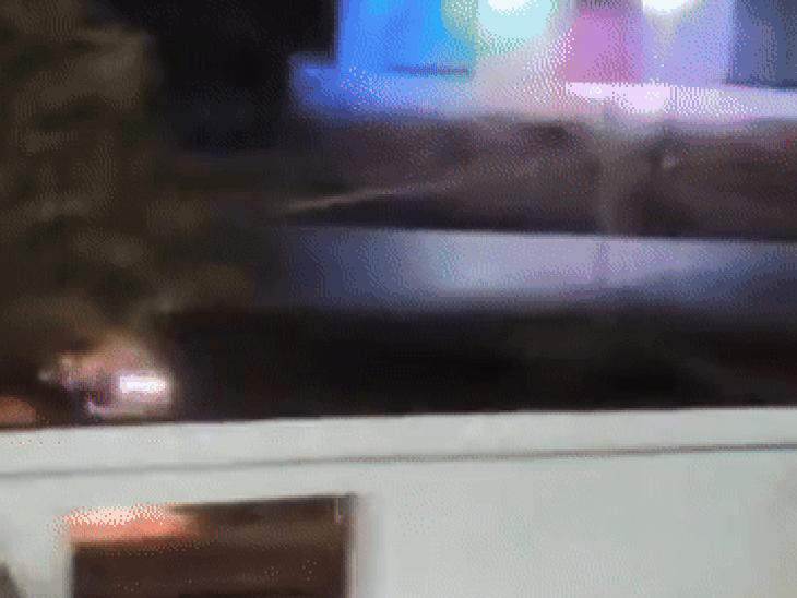 मुरैना के जीगनी में आधी रात को फायरिंग और हमला;VIDEO:जमीन पर कब्जे को लेकर दो पक्षों में विवाद, ट्रैक्टर से घर का गेट तोड़ने का प्रयास