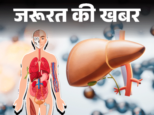 जरूरत की खबर- कोविड के बाद बढ़ रहे हेपेटाइटिस केसेज:इसके लक्षणों को लेकर रहें सचेत, आसपास बीमारी फैले तो बरतें 8 सावधानियां