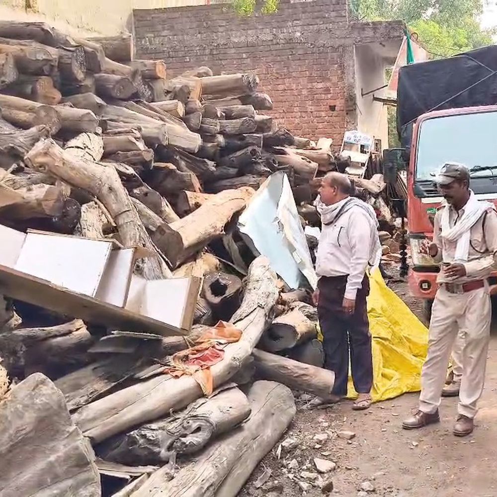 विदिशा में वन विभाग का छापा:आरा मिल में अवैध लकड़ी मिली, दस्तावेज नहीं दिखा पाए संचालक