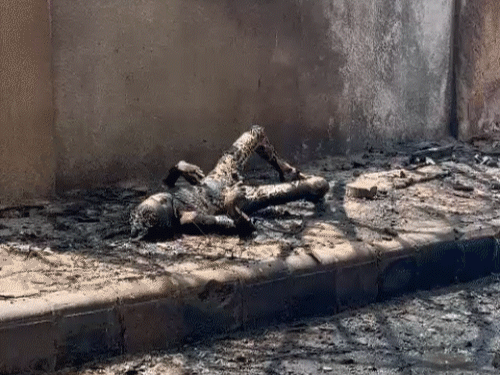 20 PHOTOS में अहमदाबाद प्लेन क्रैश:सड़कों पर लाशें बिखरीं, पहचानना मुश्किल; अपनों की सलामती के लिए लोग मंदिर में प्रार्थना कर रहे