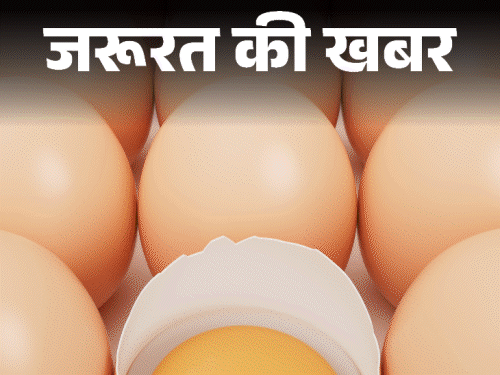 जरूरत की खबर- क्या कच्चा अंडा खाना खतरनाक है:हो सकती है एलर्जी, फूड पॉइजनिंग, आंतों में सूजन, डॉक्टर से जानें क्या है फैक्ट