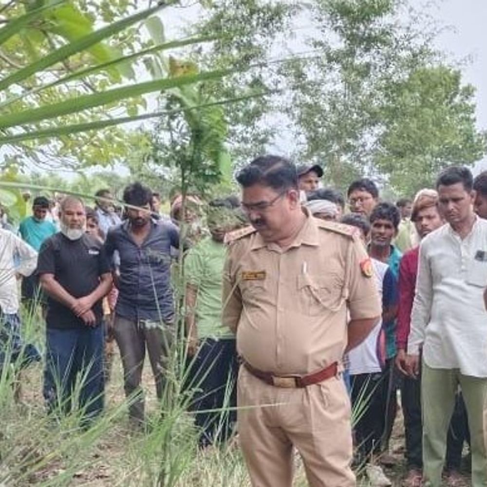 बलरामपुर में बुजुर्ग की संदिग्ध मौत:खेत जाने के बाद नहीं लौटा घर, दूसरे दिन पेड़ के नीचे मिला शव