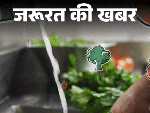जरूरत की खबर- मानसून में बढ़ता इन्फेक्शन का रिस्क:डाइट में करें बदलाव, डाइटीशियन से जानें इम्यूनिटी बढ़ाने के लिए क्या खाएं