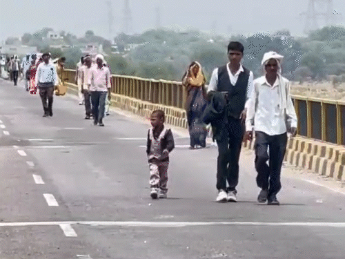हमीरपुर में पांच किलोमीटर पैदल गई बारात:दरार आने से यमुना पुल बंद, नाव से हो रही दूध सप्लाई
