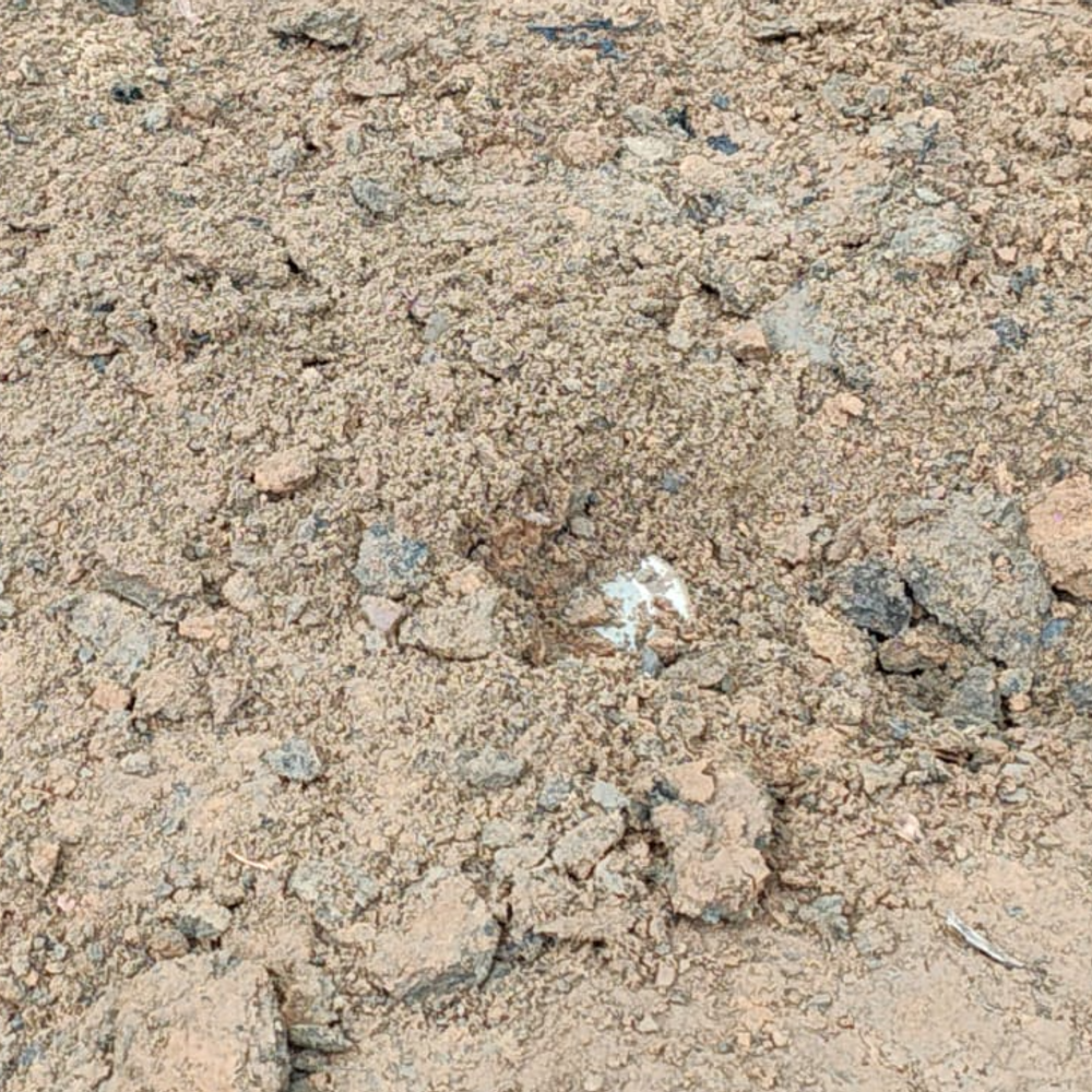 नक्सलियों का ट्रैप, जवानों ने किया नाकाम:जहां की 3 ग्रामीणों की हत्या, उस रास्ते में बिछा रखा था बारूद, BDS ने किया डिफ्यूज