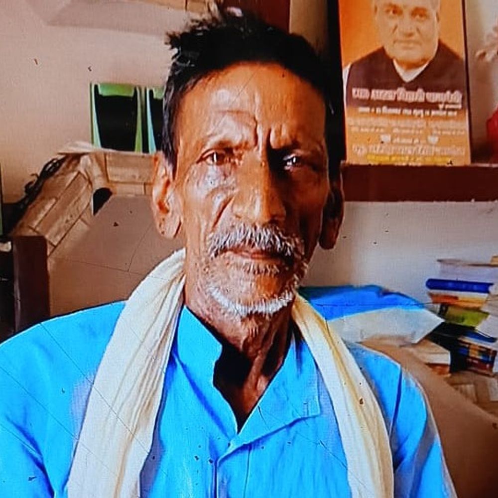 आवारा गोवंश से किसान की मौत:जालौन में खेत से लौटते समय किया हमला, 5 दिन बाद इलाज के दौरान दम तोड़ा