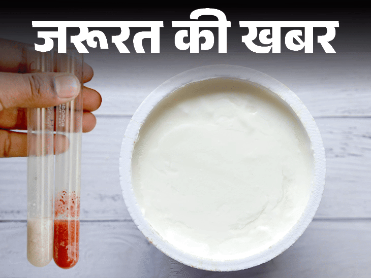 जरूरत की खबर- यूपी में मिला 600 किलो मिलावटी दही:लिवर के लिए खतरनाक, FSSAI ने बताए मिलावट की पहचान करने के 3 आसान तरीके