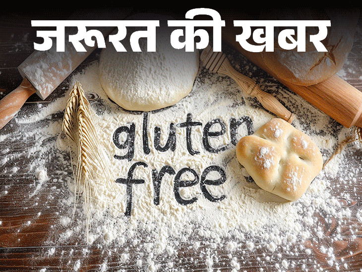 जरूरत की खबर- भारत में 60-80 लाख लोग ग्लूटेन इनटॉलरेंट:ग्लूटेन क्या है, पचने में मुश्किल क्यों, 9 ग्लूटेन फ्री अनाज और फायदे