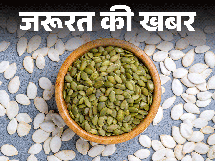 जरूरत की खबर- पंपकिन सीड्स सेहत के लिए वरदान:स्पर्म क्वालिटी करे बेहतर, इंसोम्निया में राहत, जानें किसे नहीं खाना चाहिए