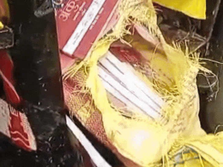 शिक्षक ने रद्दी बताकर 10 रुपए प्रति किलो बेची किताबें:सीधी में कबाड़ी से किताबों से भरी ऑटो जब्त, प्रभारी प्राचार्य बोले- मामले की होगी जांच