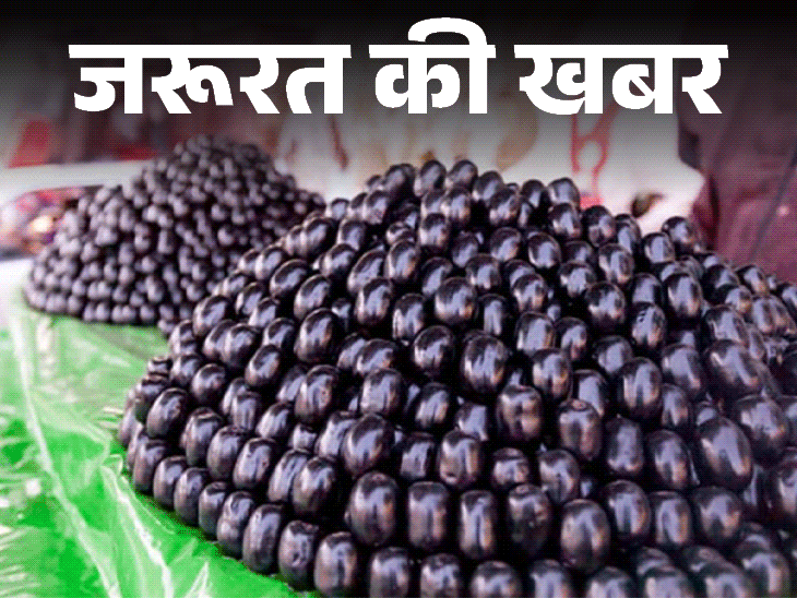 जरूरत की खबर- डायबिटीज में वरदान है जामुन:5 चीजों के साथ कभी न खाएं, एक्सपर्ट से जानें इसके अद्भुत फायदे, खाने का सही समय