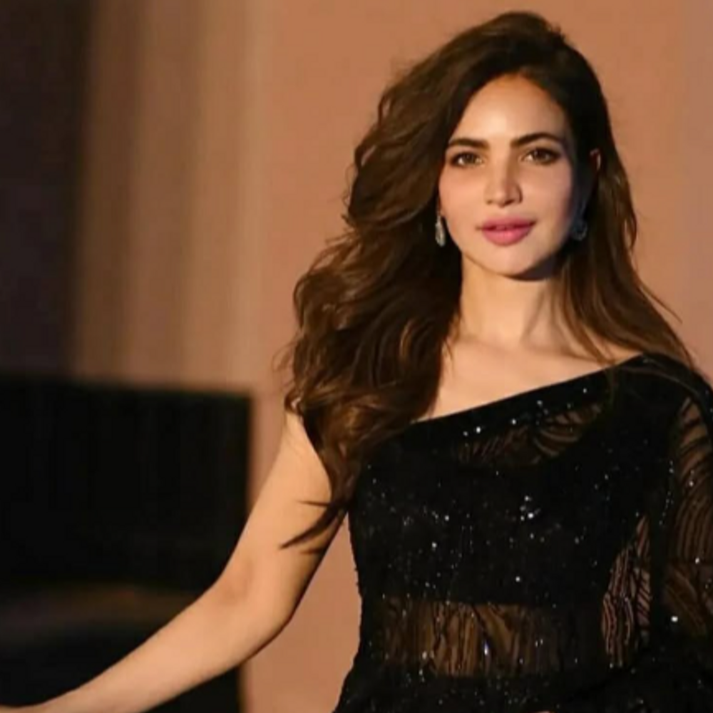 पाकिस्तानी एक्ट्रेस हुमैरा असगर की सड़ी हुई लाश मिली:दो हफ्ते से बंद पड़ा था कराची का अपार्टमेंट, 7 सालों से अकेली रह रही थीं एक्ट्रेस