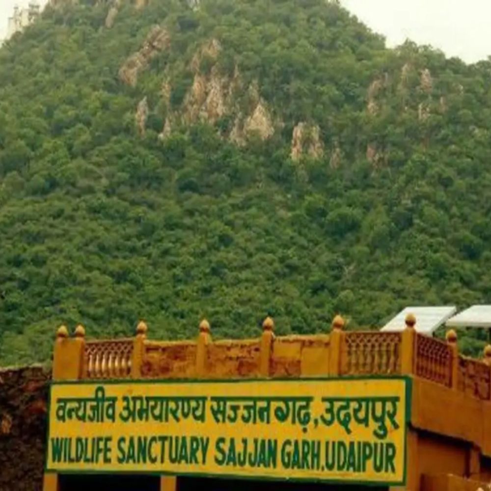 वन विभाग:सज्जनगढ़ बायोपार्क और किले का अब एकसाथ ले सकेंगे टिकट, 3 पैकेज बनाए, दो टिकट संभालने से मुक्ति मिलेगी, काउंटर पर भीड़ भी कम होगी