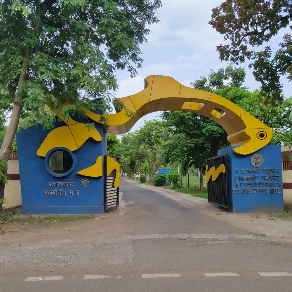 एक्वा पार्क में डिजिटल एक्वेरियम, वॉटर टनल-3D इंटरेक्टिव जोन:भोपाल में 40 करोड़ रुपए से बनेगा, भूमिपूजन आज; मछलियों की दुनिया बसेगी