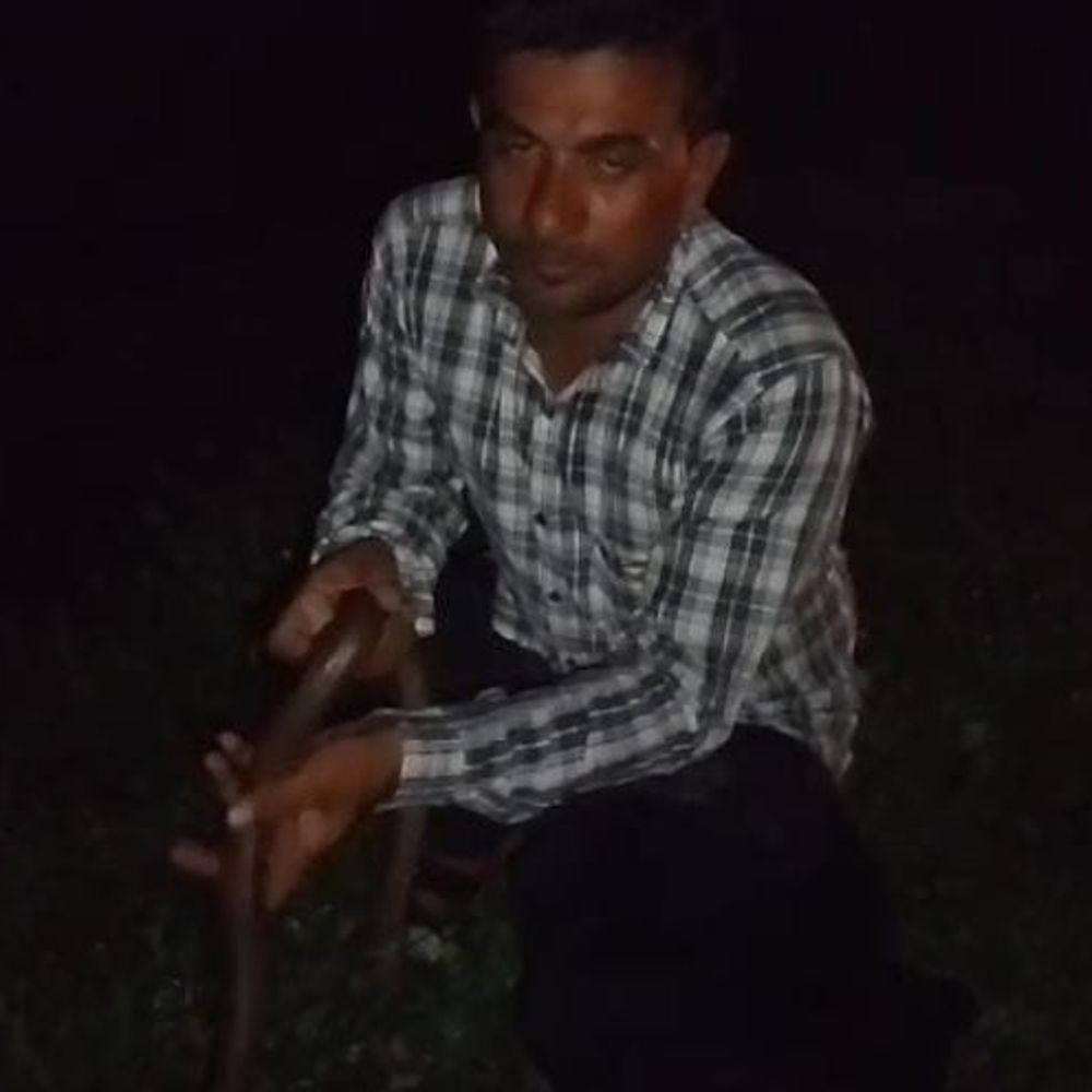 बड़वानी में मिला 4 फीट लंबा रेड सेंडबोआ:दुर्लभ दो मुंहे सांप का रेस्क्यू कर स्नेक कैचर ने जंगल में छोड़ा