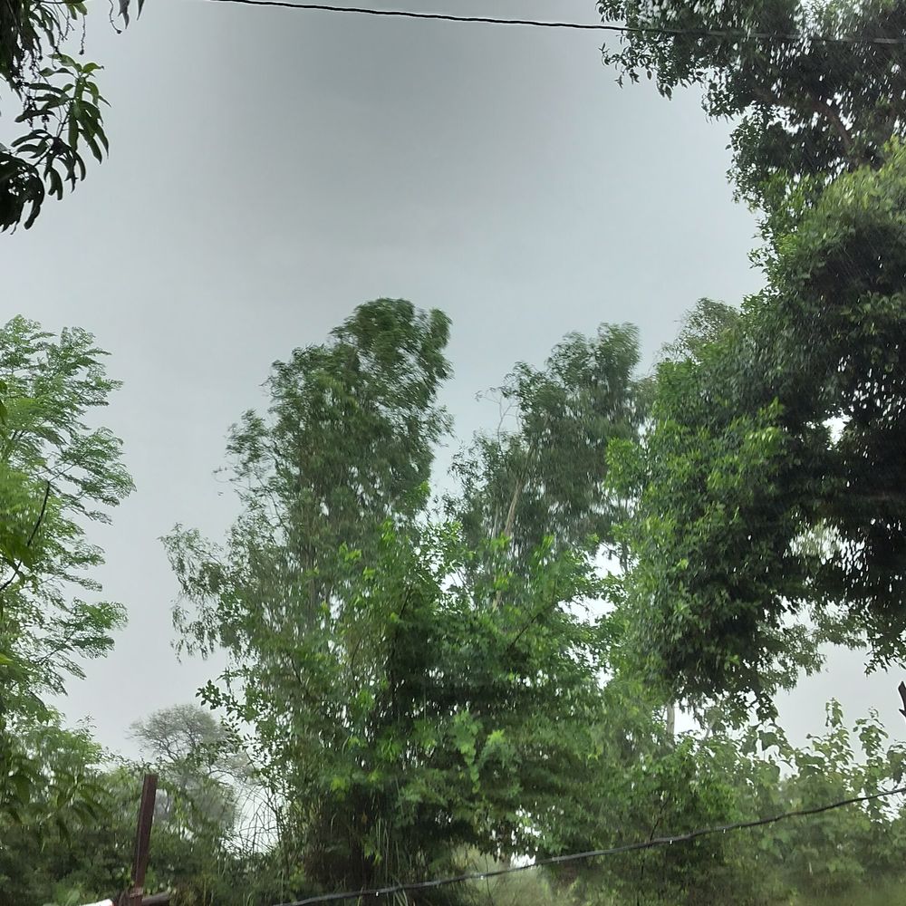 अयोध्या में बारिश से मिली गर्मी से राहत:मिल्कीपुर में 12.8 मिमी बारिश, तापमान 33.5 डिग्री दर्ज