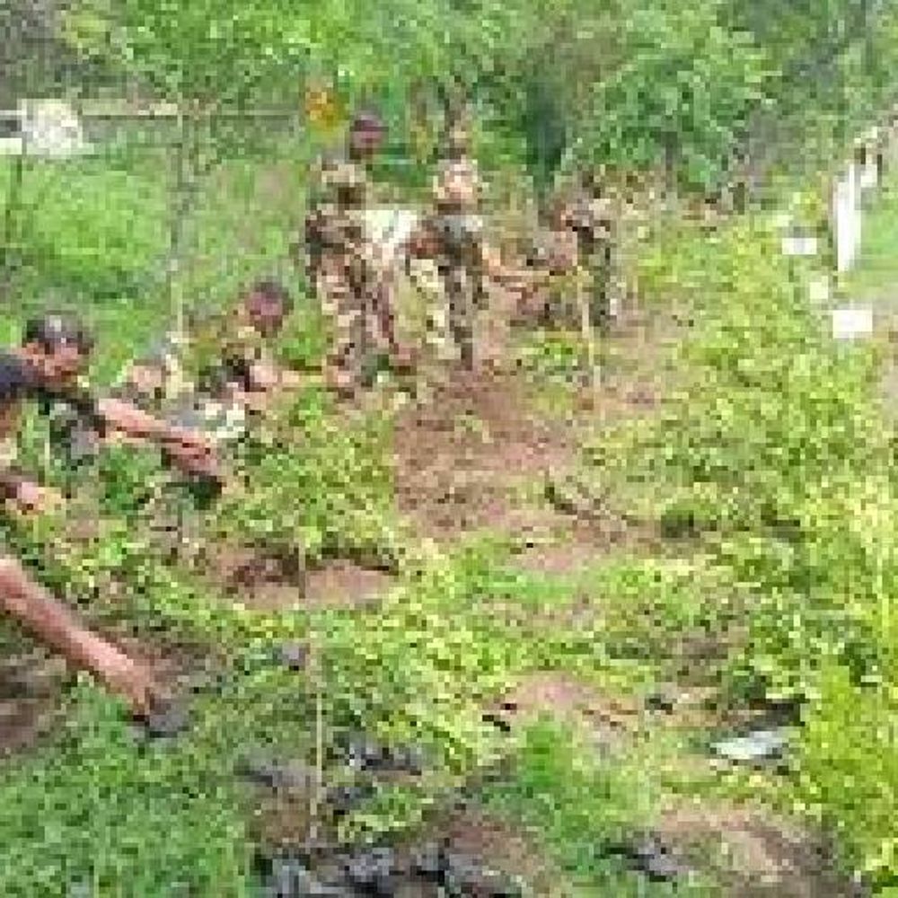 रेवती रेंज पर होगा 51 हजार से ज्यादा पौधरोपण:केंद्रीय मंत्री भूपेंद्र सिंह, मंत्री विजयवर्गीय और मेयर की अगुवाई में होगा कार्यक्रम