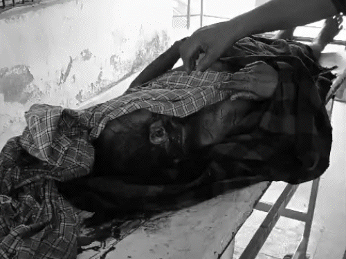 पति का गला काटा,खून के छींटे बेटे पर पड़े:लड़का बोला-पिता की लाश के पास रात भर बैठी रही, महिला ने कहा-सब बॉयफ्रेंड के लिए किया