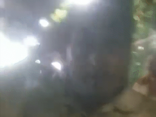 महाराष्ट्र में शिवसेना (UBT) कार्यकर्ताओं ने ऑटो ड्राइवर को पीटा:फिर मराठी में माफी मंगवाई; ऑटो वाले ने कहा था- हिंदी-भोजपुरी में बोलूंगा, क्या करोगे