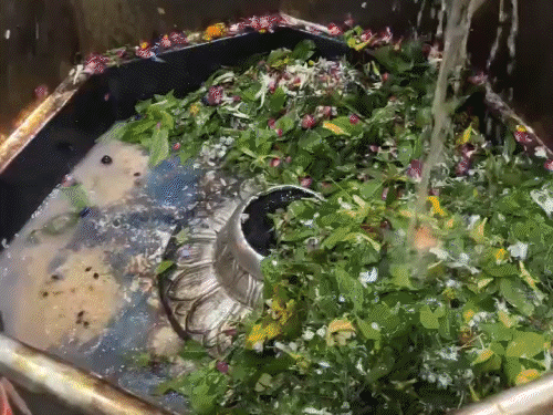 गरीबनाथ मंदिर में 1.5 लाख भक्तों ने किया जलाभिषेक:मुजफ्फरपुर में रात 12 बजे से ही पहुंच रहे हैं श्रद्धालु; सीसीटीवी से निगरानी