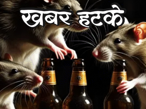 खबर हटके- चूहों ने पी 800 बोतल शराब:महिला पुलिस को मेकअप न करने का आदेश; जानिए ऐसी ही 5 रोचक खबरें