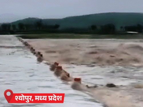 राजस्थान में भारी बारिश से 12 की मौत:हिमाचल में अब तक 105 लोगों की जान गई; MP में नर्मदा खतरे के निशान से ऊपर