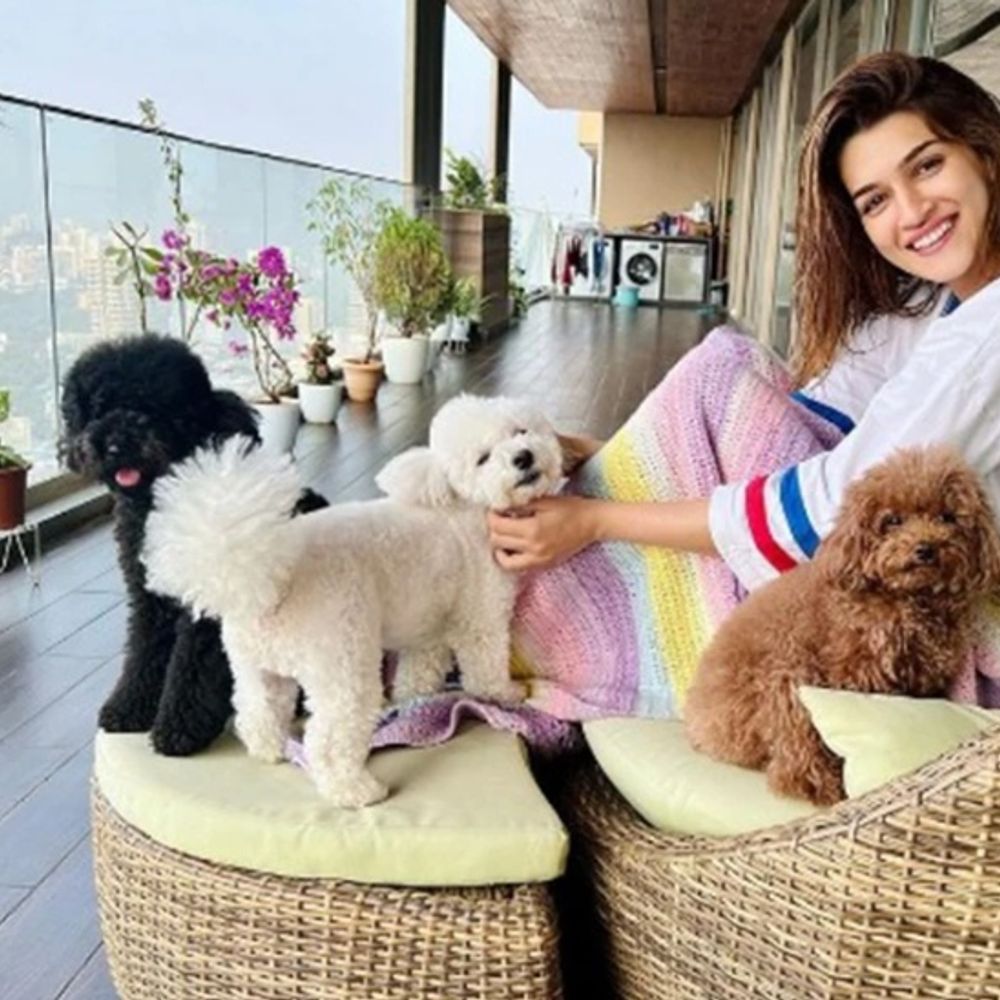 कृति सेनन, जावेद जाफरी की बिल्डिंग में घुसा अज्ञात शख्स:सिक्योरिटी को चकमा दिया, लिफ्ट में तोड़फोड़ कर कैमरे में अश्लील इशारे किए, पुलिस ने की पहचान