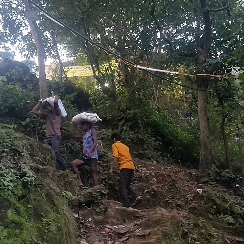 नागद्वारी यात्रा शुरू, 10 दिन तक चलेगा मेला:गुफा में विराजित नागदेवता के दर्शन को पहुंच रहे श्रद्धालु; टाइगर रिजर्व के कोर क्षेत्र में आयोजन